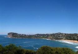 View back to Whale Beach