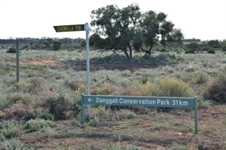 Time to head north to Danggali Conservation Park