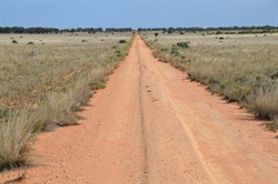 Now into Native Grass covered Plains