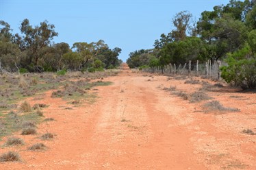 Looking South down the Border track