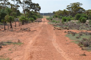 Looking North up the Border track