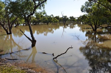 Another unexpected large body of water in Outback New South Wales