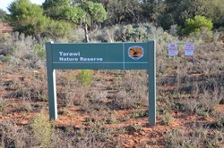 Entering Tarawi Nature Reserve