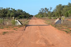 Leaving Tarawi Nature Reserve