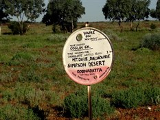 Pink Roadhouse signs already...