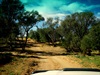 The road to Dalhousie Springs