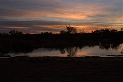 The permanent water hole