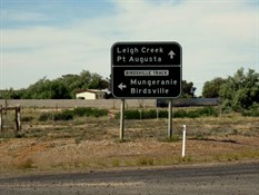 mmm...which way...