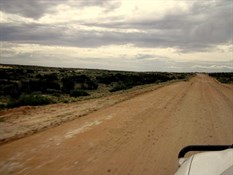 The Birdsville Track