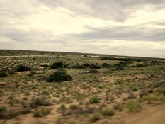 Desert with some recent rains...