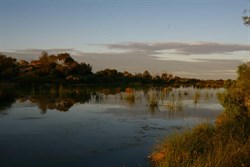 The billabong next to the bath...