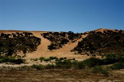 The tracks up