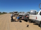 Loading William for transport on Oodnadatta Tk - Camera: Canon  PowerShot G12 Taken: 12 Apr 2012