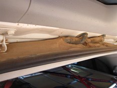 Dust ingress in the rear Cruiser door