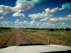 Single lane ribbon
