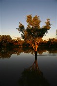 Cooper's uh creek