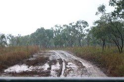 Road into Kalumburu