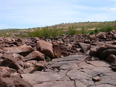Walk to the water hole Home Valley