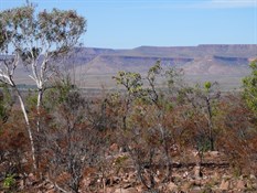 View of escarpments from lookout