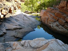 Amalia Gorge many small water holes