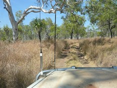 Old Halls Creek Gold Track 