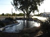 Winton - Pond with pelicans in main street
