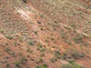 Lachlan & Tim explore the Breakaways