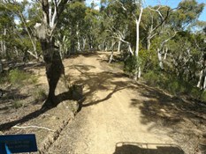 An easy run on the Abercrombie Fire Trail to The Sink