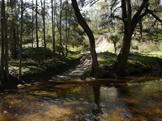 The Retreat River crossing we avoided