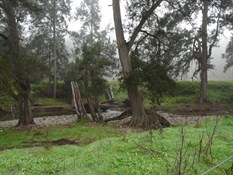 Silent Creek - most water runs underground