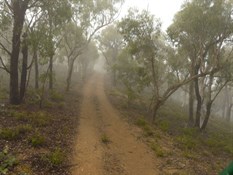 Leaving Silent Creek in the morning mist