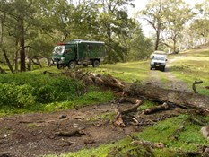 Stopped by a fallen tree on Silent Creek Fire Trail
