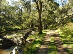 Retracing our steps alongside Silent Creek
