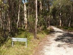 Heading south to Wombeyan Caves Road on Range Fire Trail