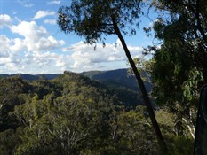 Beautiful scenery in the Blue Mountains National Park