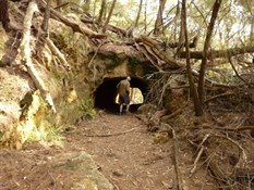 The coke tunnel - Hidden treasure in Mittagong