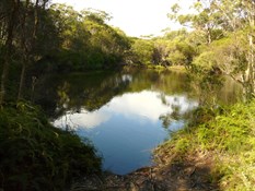 Blue Pool campground - Budderoo National Park