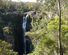 Carrington Falls - Budderoo National Park