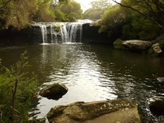 Nellie's Glen - Budderoo National Park