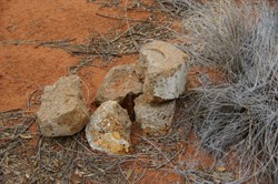 Bench Mark-Abandoned Gunbarrel Highway