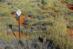 Old Warburton Road, south of Cosmo Newberry