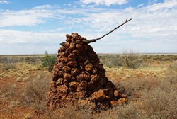 Notabills Hill - Gunbarrel Highway