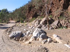 Fossil bearing Wilkawillina Limestone, Brachina Gorge west (inner)