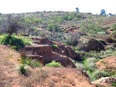 Erosion, on the Trezona walk