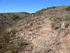 Walking on Stromatolites