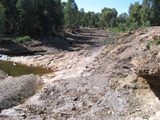 Smaller Stromatolite Embankments, with ripple stone