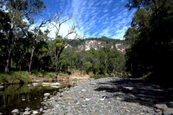 The creek