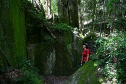 Lost city
