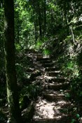 To the moss garden