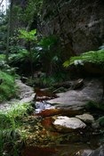 To Ward's Canyon